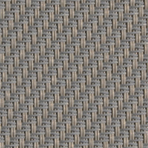033001 - oyster shell